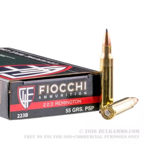 20 Rounds of .223 Ammo by Fiocchi – 55gr PSP