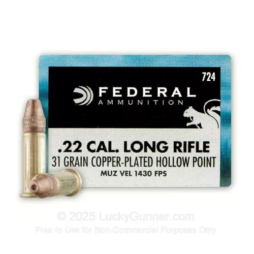 22 LR – 31 gr – CPHP – Federal Game Shok- 500 Rounds