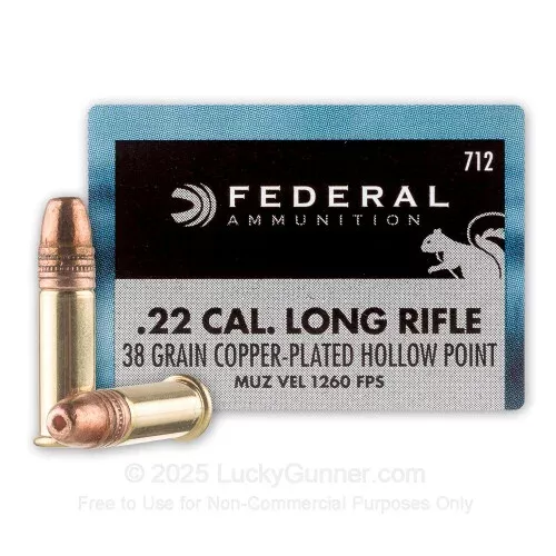 22 LR – 38 Grain CPHP – Federal Game Shok – 500 Rounds