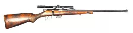 22 TOZ 17 Blued/Wood