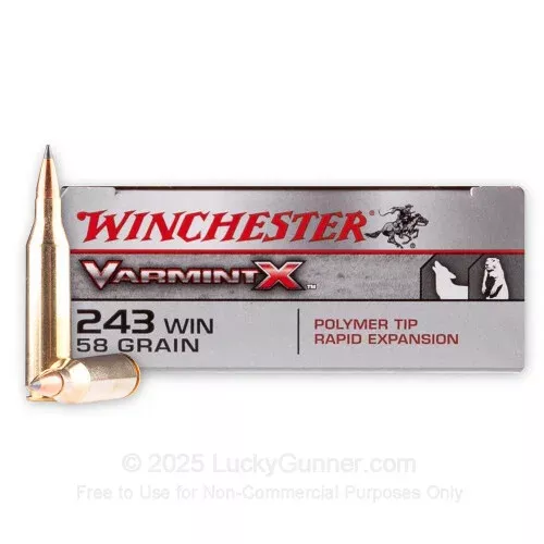243 – 58 Grain Polymer Tip – Winchester Varmint X – 20 Rounds