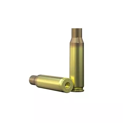 .308 Winchester Reloading Brass