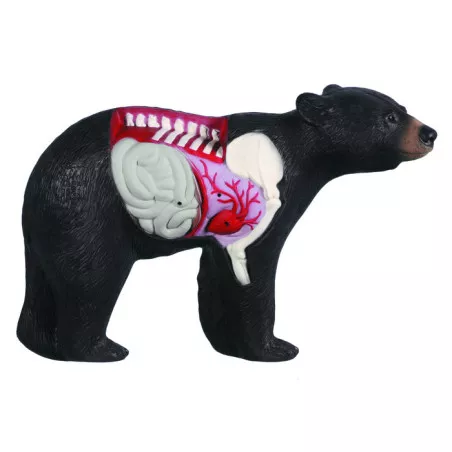 3D Rinehart bear anatomy target