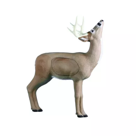 3D Rinehart grazing deer target