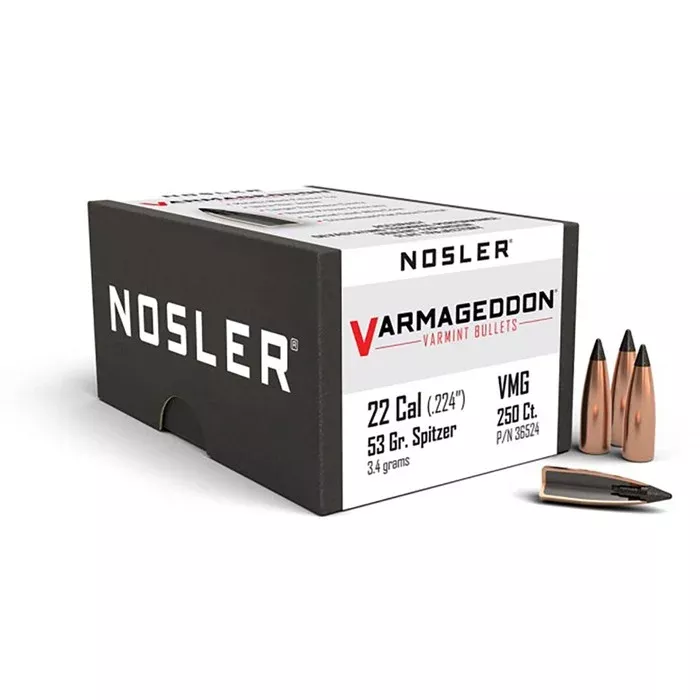 Ballistic Tip Hunting 31456