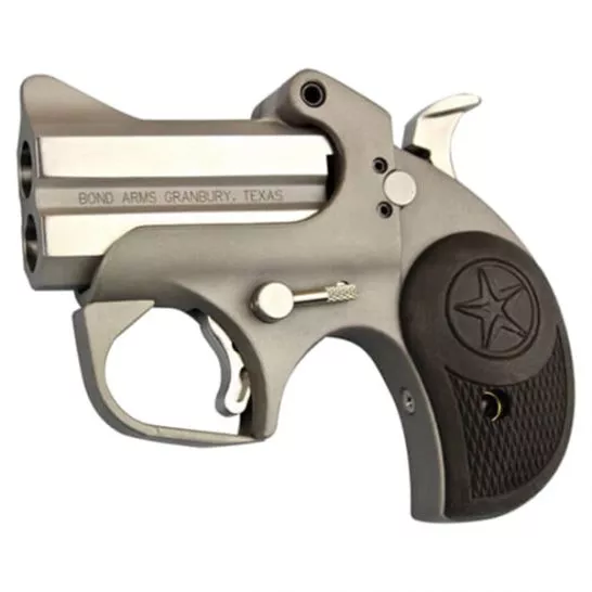 Bond Arms Roughneck .38 Spl/.357 Mag Pistol, Stainless – BARN