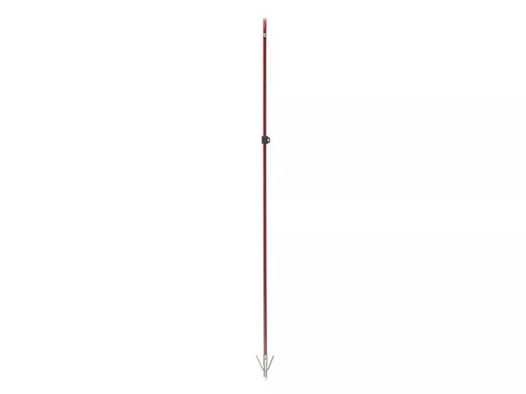 Cajun Wasp Arrow with Piranha Point XT