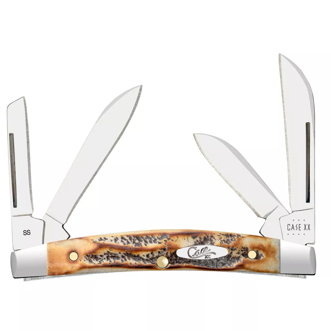 Case XX Small Congress 6.5 BoneStag 65337 Stainless Pocket Knife