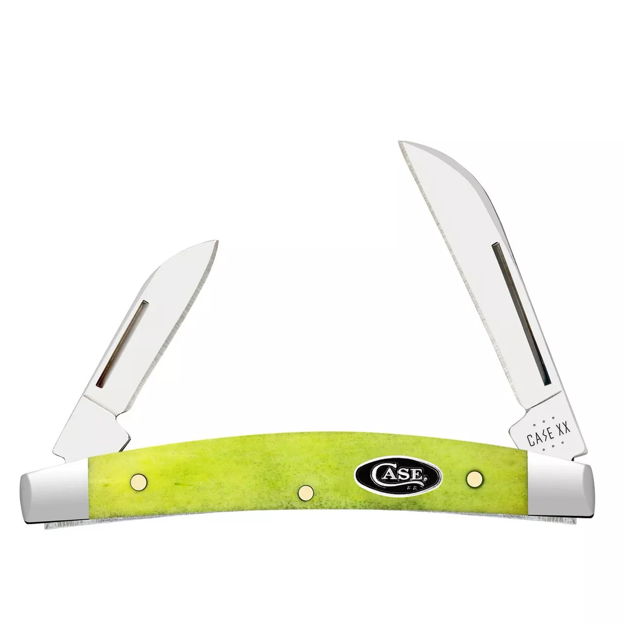 Case XX Small Congress Green Apple Bone 53032 Stainless Folding Pocket Knife