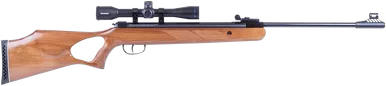 Diana Two-Fifty Air Rifle .22 Caliber 4.5mm with Scope