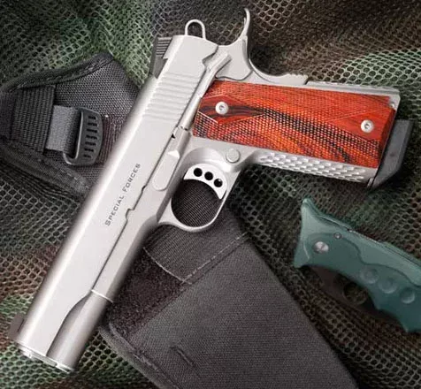 Ed Brown Special Forces, 5 inch, .45ACP, Stainless Steel, Night Sights