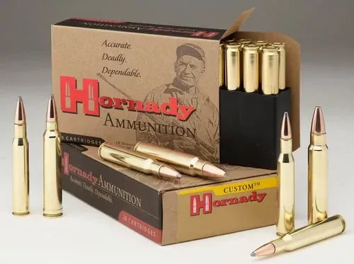 Hornady Custom Rifle Ammunition .300 Blackout 110gr CX 2285 fps 20/ct