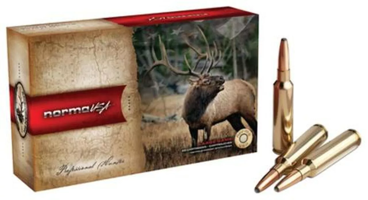 Norma PH .375 H&H Mag 300Gr, Oryx, 20rd Box