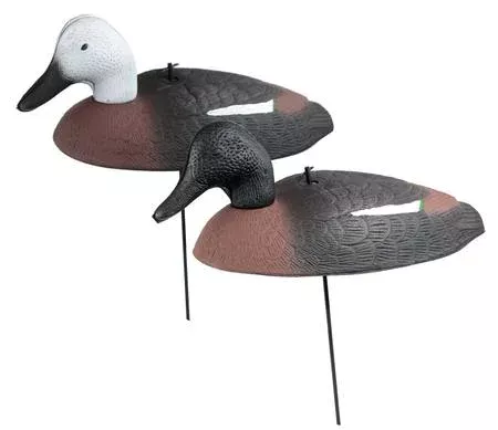Outdoor Outfitters Paradise Decoy Foam Shells with Heavy Stakes: 12-Pack