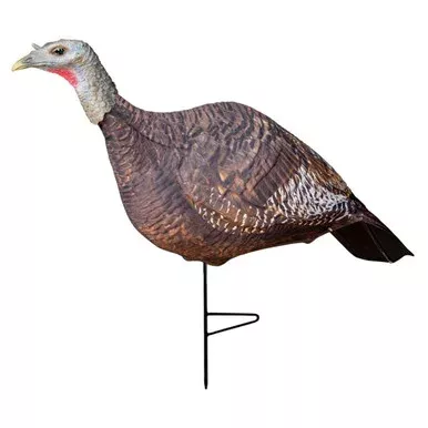 Photoform Hen Turkey Decoy