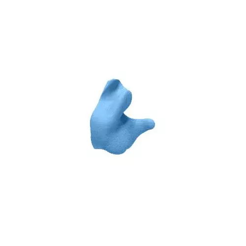 Radians Custom Molded Earplugs Blue