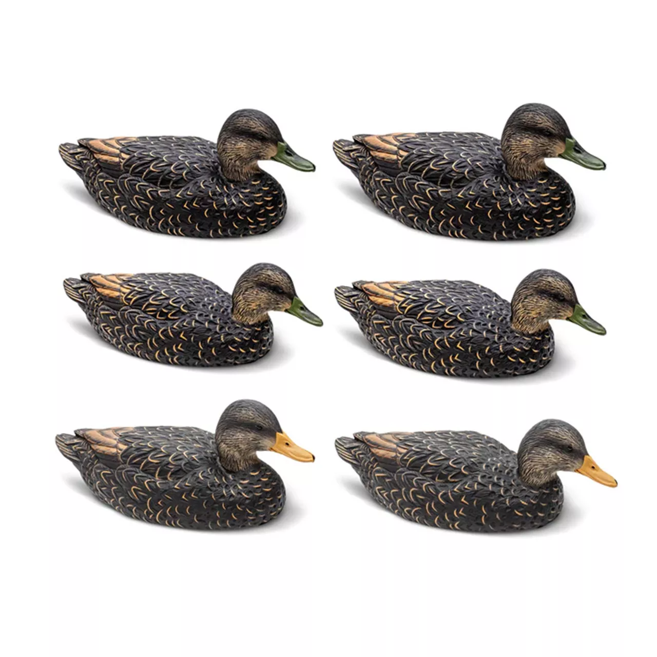 Rig'Em Right Mainline Series Black Duck 6 Pack