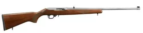Ruger 10/22 Stainless 1149