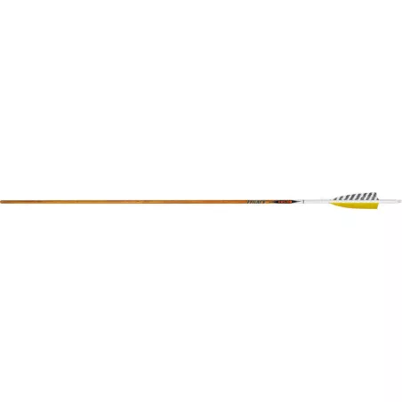 Set of 12 Easton Legacy carbon shafts