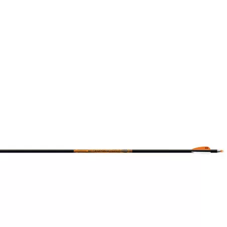 Set of 12 Easton Triumph carbon shafts