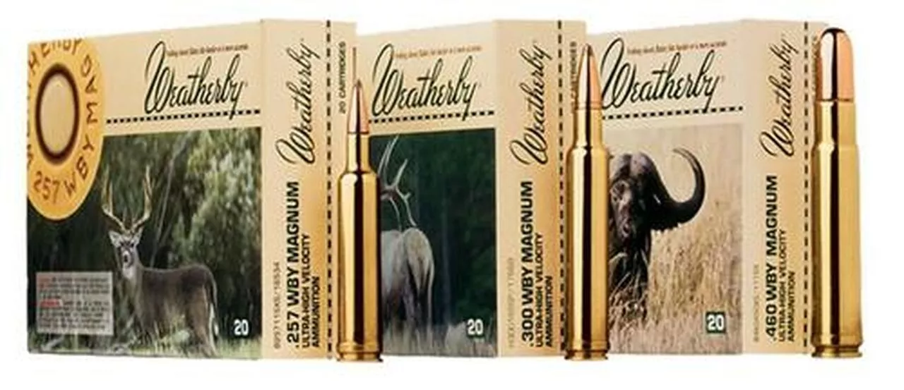 Weatherby Ammo 460 WBY 450gr, 20rd Box
