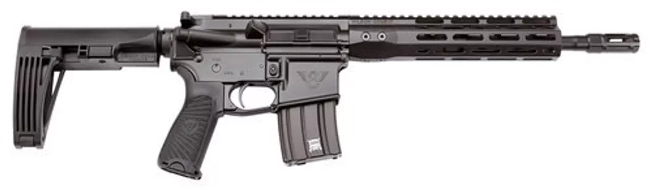 Wilson Combat Protector AR Pistol, .300 Blackout 11.3″, 20rd, Tailhook Brace, Black
