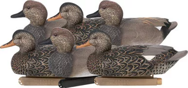 Zink Floater Gadwall Duck Decoy 6-Pack